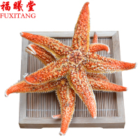 福曦堂 干海星 海星 海南海星 海南干海星 泡酒料 可搭配海马 海龙等 海星 250克*1袋