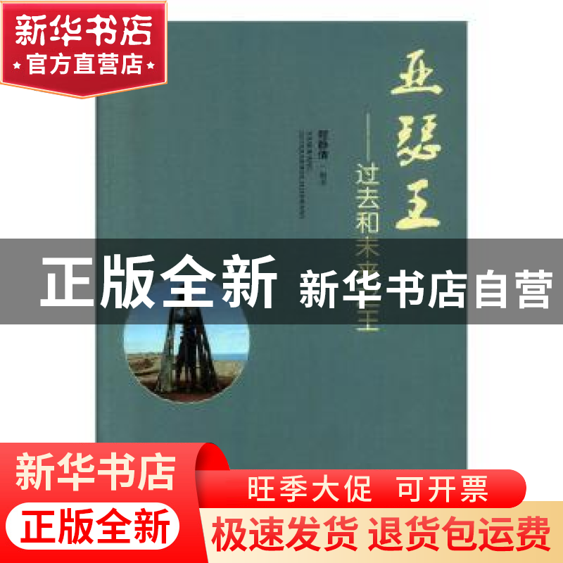 正版 亚瑟王--过去和未来之王 程静倩编著 天津人民出版社 978720高清大图