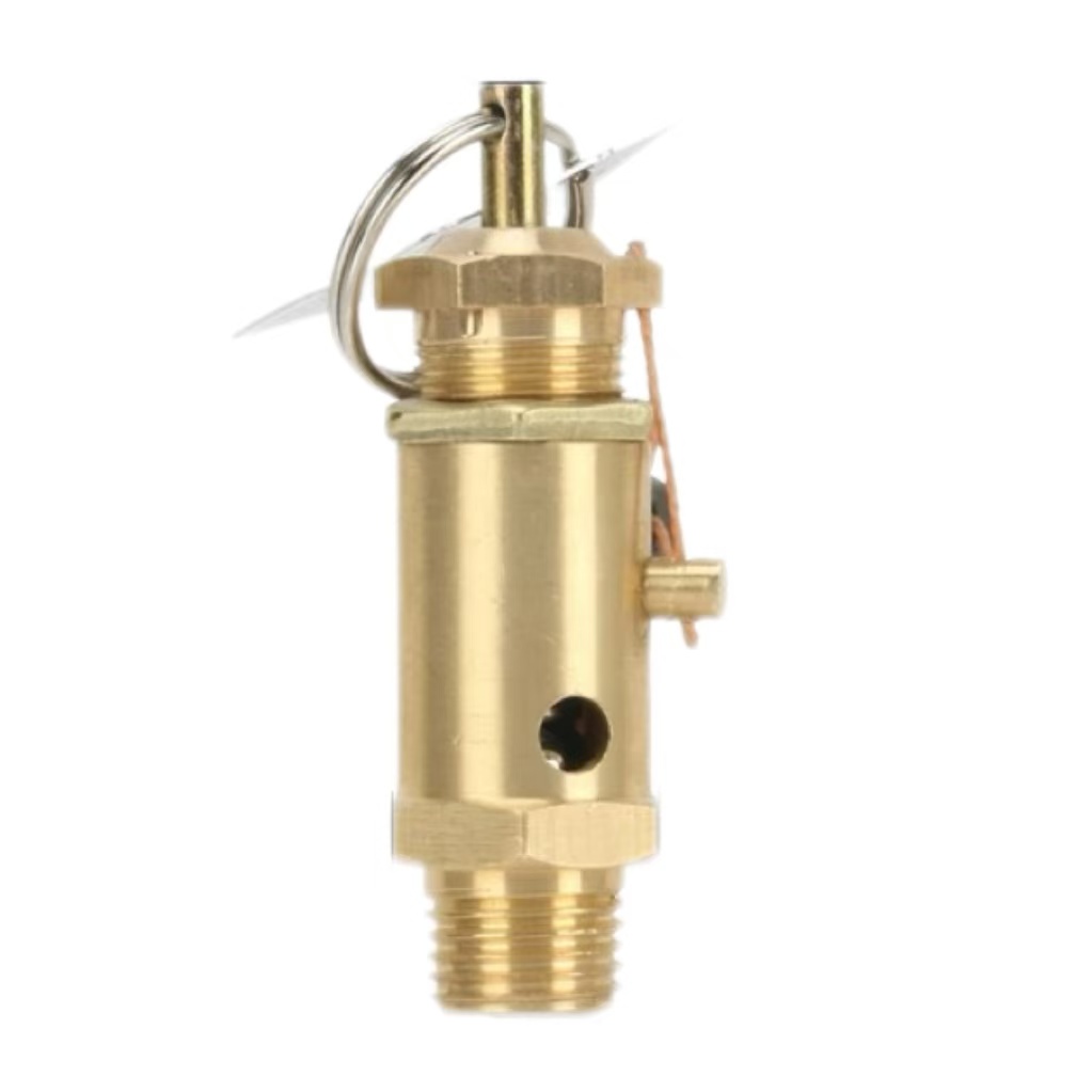 盛京联硕 ZJ-AFS 弹簧式全启安全阀 A28X-16T DN15 整定压力0.83MPa 直筒 个高清大图