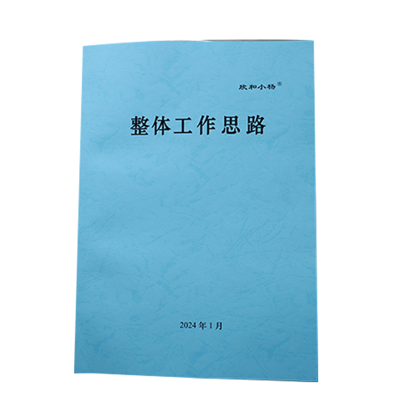 欣和小杨 定制整体工作思路 210x297mm (单位:本)高清大图