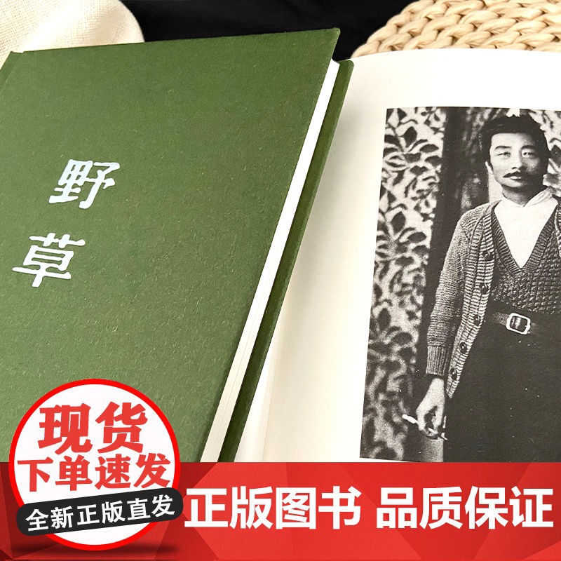 正版书籍 野草 1938年复社底本精装典藏版 原汁原味鲁迅作品收录鲁迅生平年表照片 狂人日记 朝花夕拾 野草鲁迅高清大图