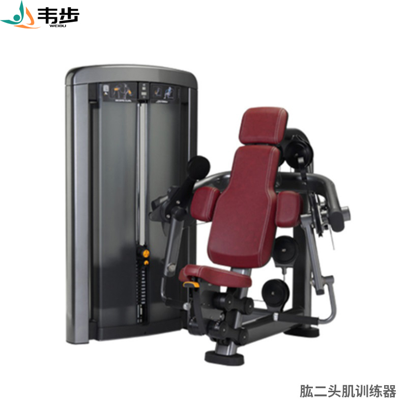 韦步LS509商用坐式肱二头肌手臂弯举练习肌肉专项训练局部型力量器械高清大图