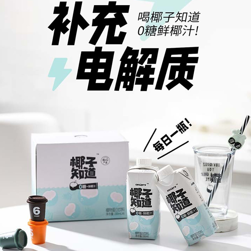 椰子知道0糖鲜椰汁 植物蛋白饮料6瓶装 礼盒装