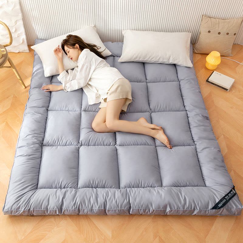 加厚床垫家用软垫榻榻米垫子单人垫褥租房垫被冬季图片