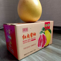 平和琯溪红心柚子 红肉蜜柚礼盒装 2粒共约 4-5斤