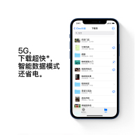 Apple iPhone 12 256G 蓝色 移动联通电信5G全网通手机