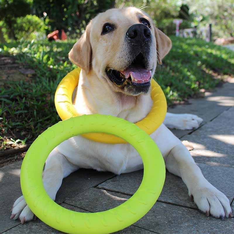 黄色-小号穿线大摆球 训狗犬玩具马犬拉环咬环耐咬训练球逗狗互动弹力球金毛中大型犬