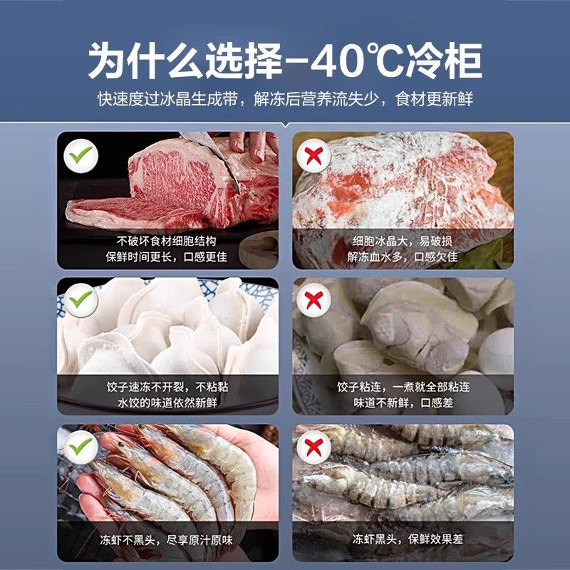 星星(XINGX)BD/BC-200SD家用商用冰柜冷柜深冷速冻冰柜超低温-40℃冷柜单温全冷冻小型大容量冰箱速冻柜铜管图片