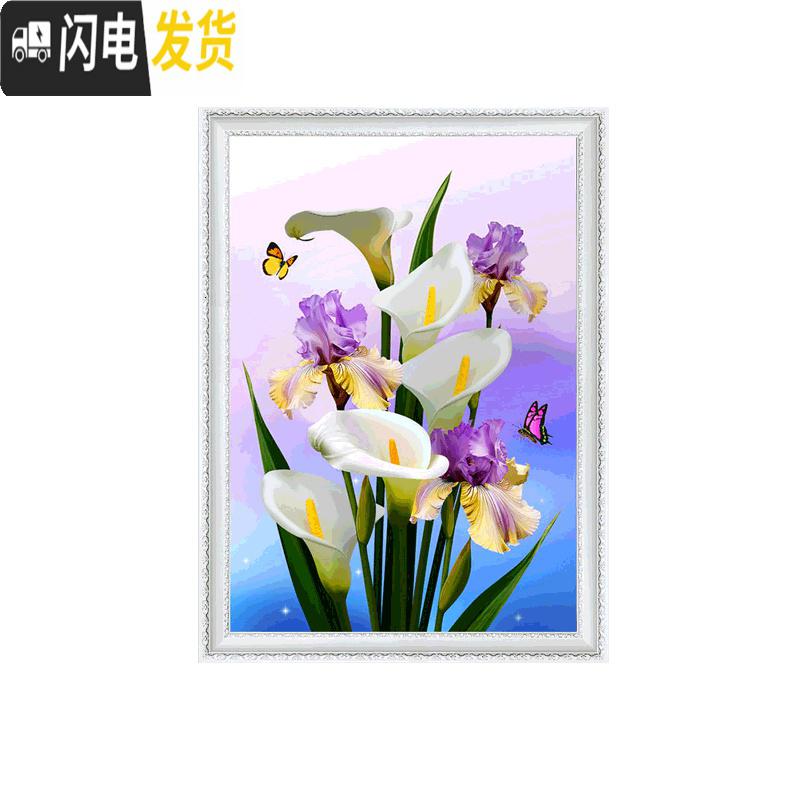 三维工匠钻石绣2019年新款5d钻石画十字绣贴钻卧室满钻带 [画+框]满钻50*68厘米[多配30钻量][送两套点钻工高清大图