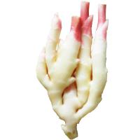 仔姜3斤 嫩姜 醋泡姜原料 新鲜蔬菜 产发QQ