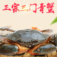 江浙沪专属三门青蟹正宗鲜活蟹肉蟹水产海鲜特大螃蟹2斤装野生鲜活特大 超大非黄油蟹1
