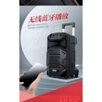 特美声(TEMEISHENG) SL10-31户外广场舞K歌音响大功率便携式拉杆蓝牙带话筒移动音箱