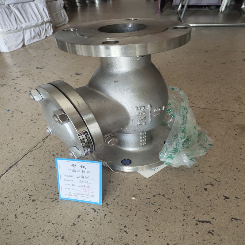 智铁 止回阀 DN65 个高清大图