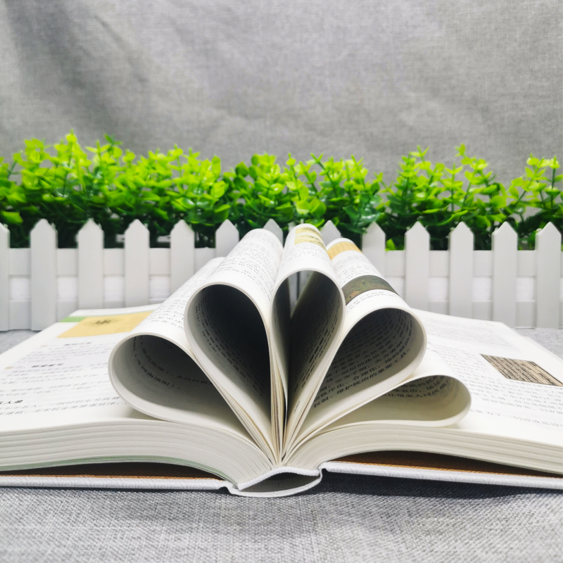 [正版] 中华姓氏 全彩白金版姓氏的起源发展迁徙分布中国演变文化习俗传统民间文化开拓眼界拓宽知识经典图书高清大图