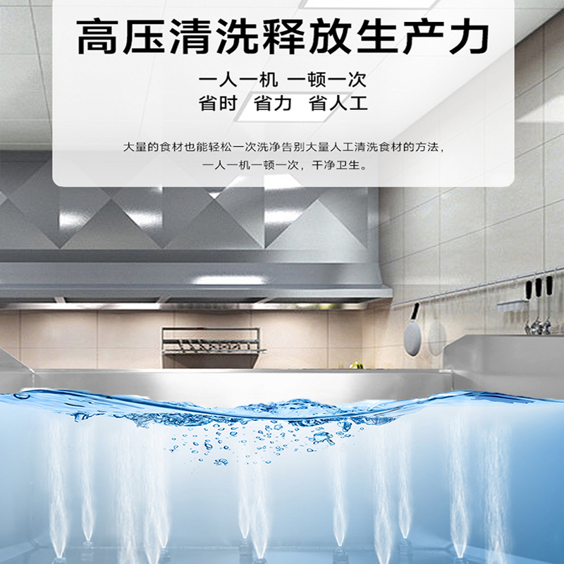 SOR松润 商用洗菜机 食堂配送中心食品加工厂用SOR-G210 2.5米单缸消毒洗菜机高清大图