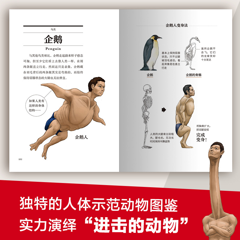 [正版]央视网跟动物交换身体 普通版 无穷小亮 古生物学者川崎悟司的科普神作震撼上市 一本独特的以人体为参照的动物图鉴高清大图