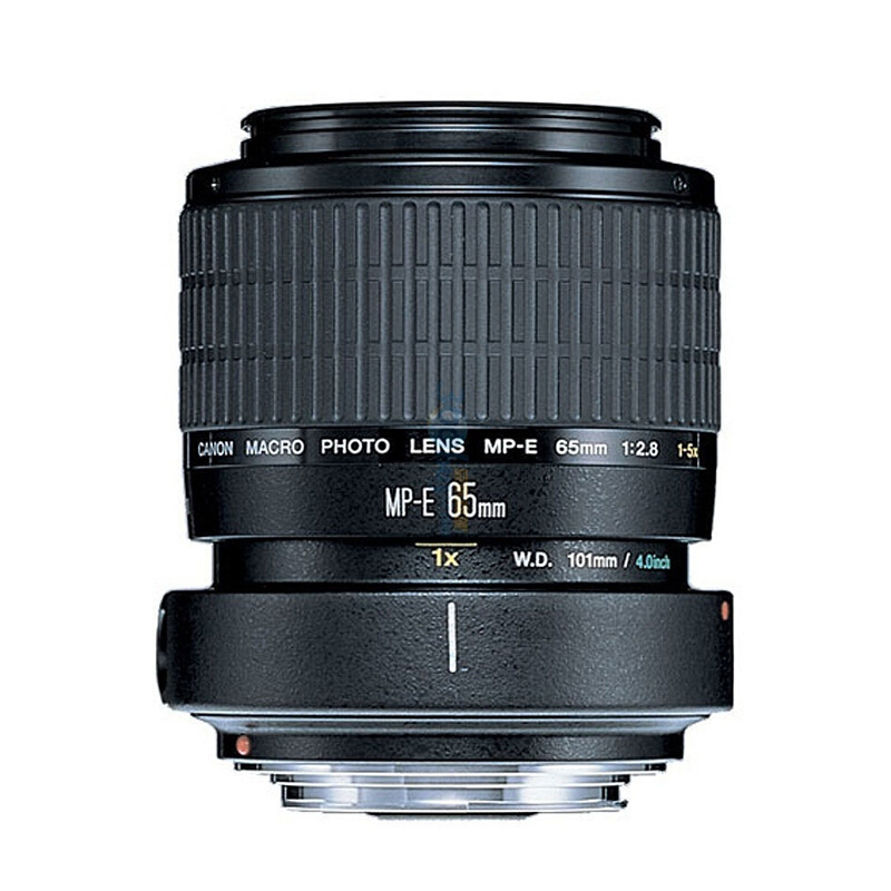 佳能(Canon) EOS 5D4（24-70F4+65微距+配件套装） 数码单反相机 双镜头套装 约3040万像素
