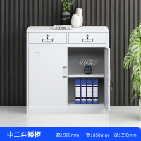 永格铁皮柜文件柜资料柜档案柜凭证柜办公室书柜矮柜储物柜带锁收纳柜