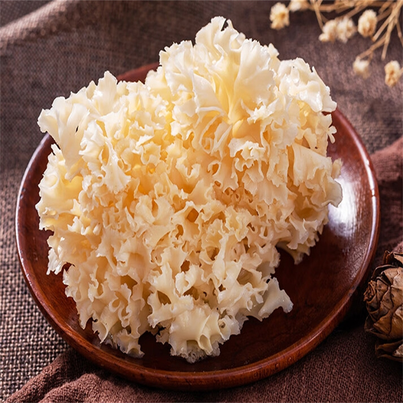 绣球菌干货当季新鲜云南特产煲汤绣球菇食用菌花瓣菇火锅食材9260高清大图