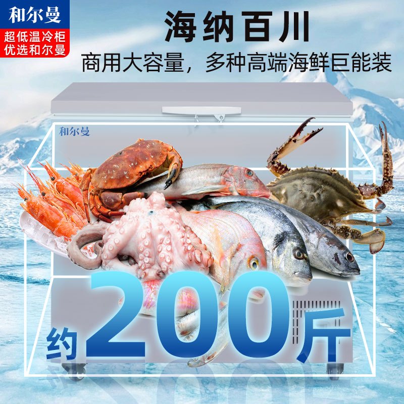 和尔曼 170升零下65度超低温水产冷柜 商用卧式冰柜 -65℃海鲜餐厅日料店金枪鱼商用水产保存箱DW-65W170B