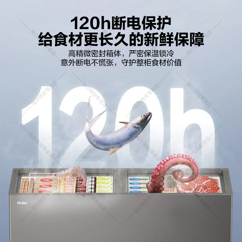 海尔(Haier)冰柜家用大容量全冷冻冷藏转换能效节能省电卧式冷柜大型保鲜柜719升高清大图