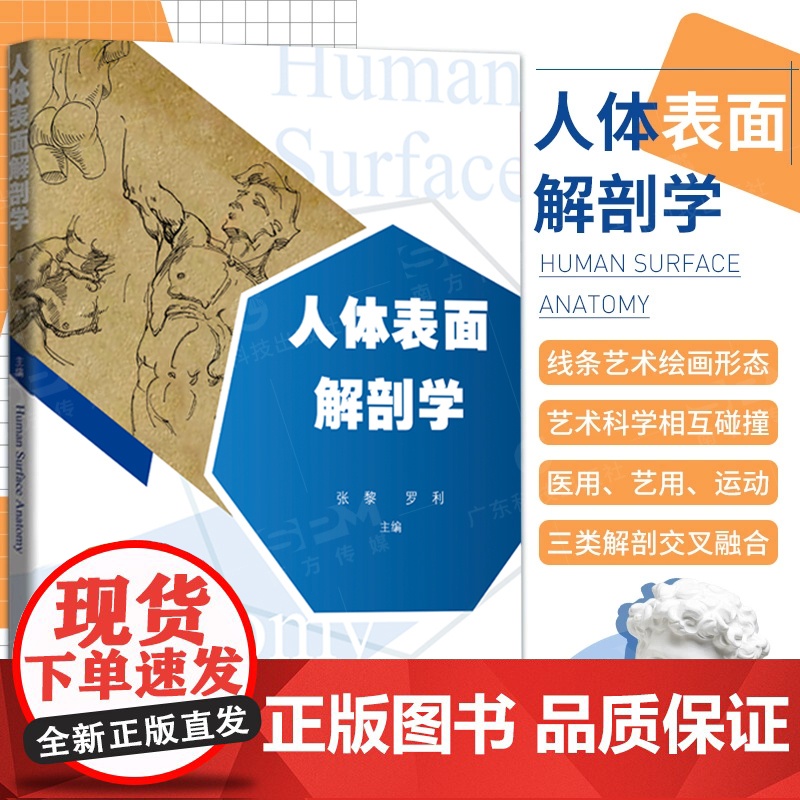 人体表面解剖学 首版融合医学艺术体育的创新型教材 全彩印刷透视图线条图 临床医师针灸师康复治疗师美术教师 广东科技出版社