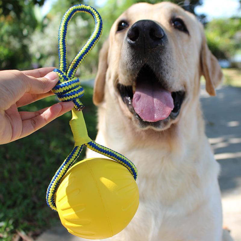 黄色-小号穿线大摆球 训狗犬玩具马犬拉环咬环耐咬训练球逗狗互动弹力球金毛中大型犬