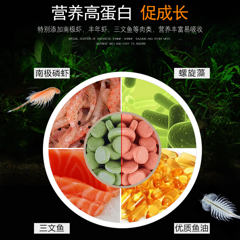 鱼食贴片小型鱼孔雀鱼饲料红绿灯科热带鱼金鱼饲料斗鱼通用型鱼粮高清大图