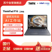 ThinkPad P16 酷睿i7-14700HX 16英寸联想高性能移动工作站笔记本电脑 32G 2T 4K RTX4000Ada Win11Pro