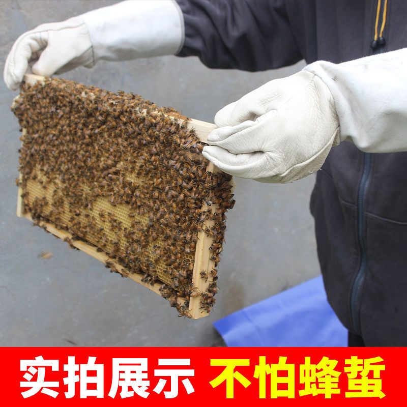 黄色帆布袖羊皮手套 1双装 羊皮手套养蜂工具防护手套加厚帆布耐磨蜜蜂工具专用透气防蛰手套