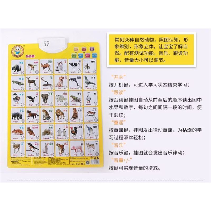 挂图识字卡汉语拼音英语字母abc一年级宝宝幼儿有声音数学认数全 英文字母拼音数字1-100乘法表高清大图
