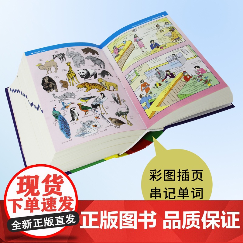 当当2024新学生实用英汉大词典第8版缩印本便携高中汉英高考字典牛津初阶中高阶英汉双解英文工具书辞典正版新英汉英语初中到高清大图