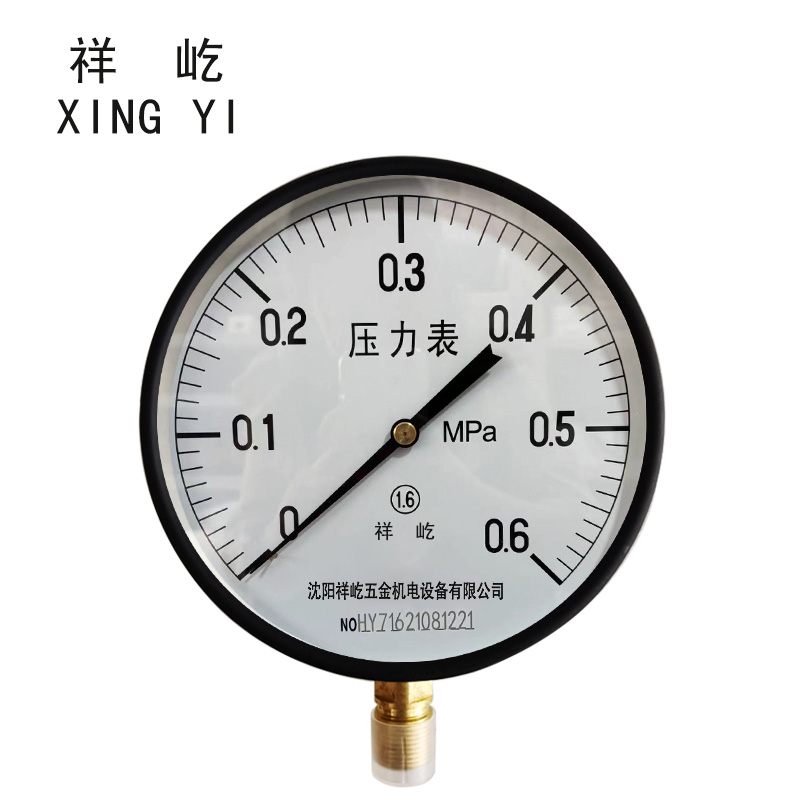 祥屹+压力表检测定制型+Y250+块