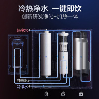 AO史密斯(A.O.Smith)厨下式反渗透净水器家用净饮水机净饮加热一体