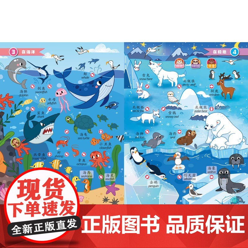瑞莉兔手指点读互动发声书 早教启蒙大全 蜜桃老师 著 幼儿启蒙高清大图