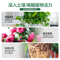[补贴10%]营养液植物通用型花肥家用盆栽发财树富贵竹绿萝水培花卉绿植肥料