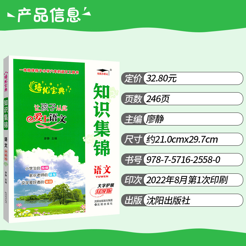 [正版]培优宝典小学语文知识集锦升级版 让孩子从此爱上语文基础知识手册小考小升初总复习资料 小学四五六年级重点知识集锦