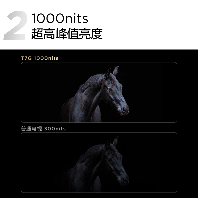 TCL 65T7G 65英寸百级分区背光4K 144Hz高清全面屏网络平板电视机