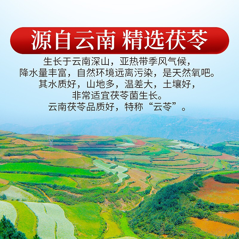 庄民 茯苓200g/罐 大颗白茯苓块 颗颗精选无碎土茯苓 非茯苓粉 花草茶叶泡水养生茶饮 云苓干货高清大图