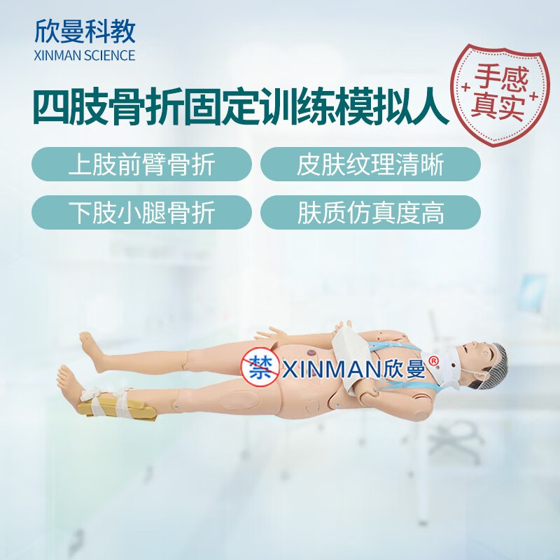 欣曼科教 四肢骨折固定训练模拟人 上肢前臂骨折 下肢小腿骨折XM-GZ800