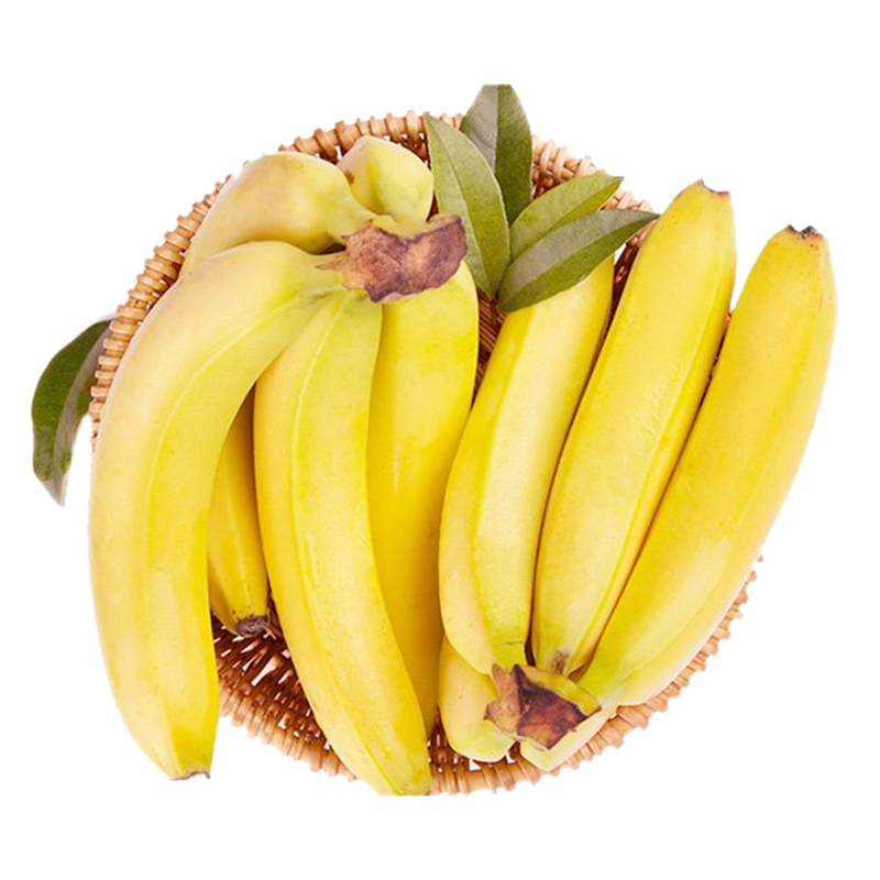 福建传统名果天宝香蕉漳州特产非小米蕉自然催熟剂新鲜水果5斤