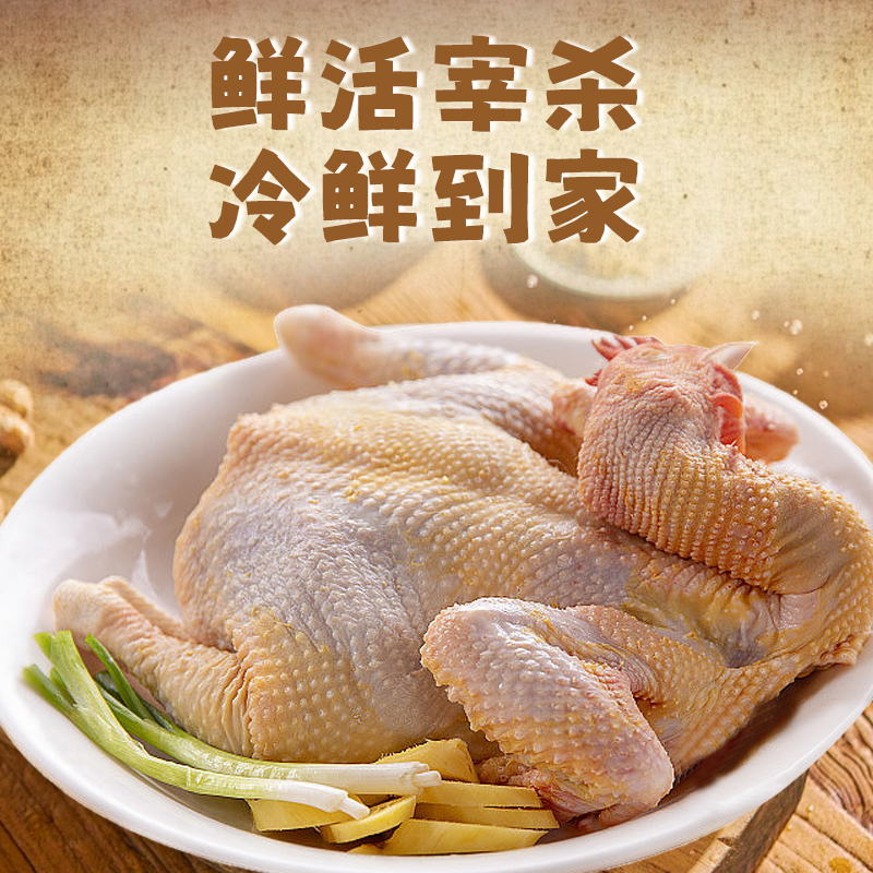 [苏鲜生推荐]三物纪 正宗皖南黄油老母鸡2-2.3斤/只 3只装 新鲜现杀整鸡净膛冷冻竹林慢养走地鸡高清大图