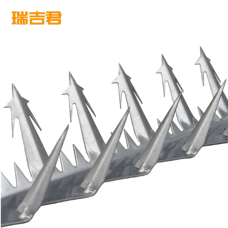 瑞吉君 防爬刺钉 大号 1.25m 根高清大图