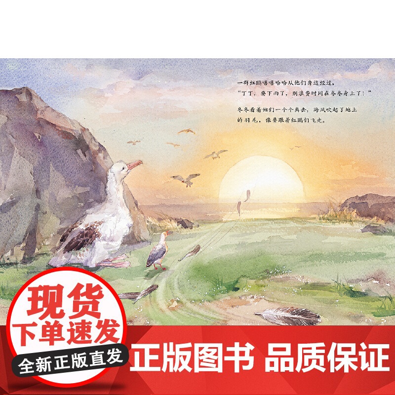 冬冬的第一次飞行高清大图