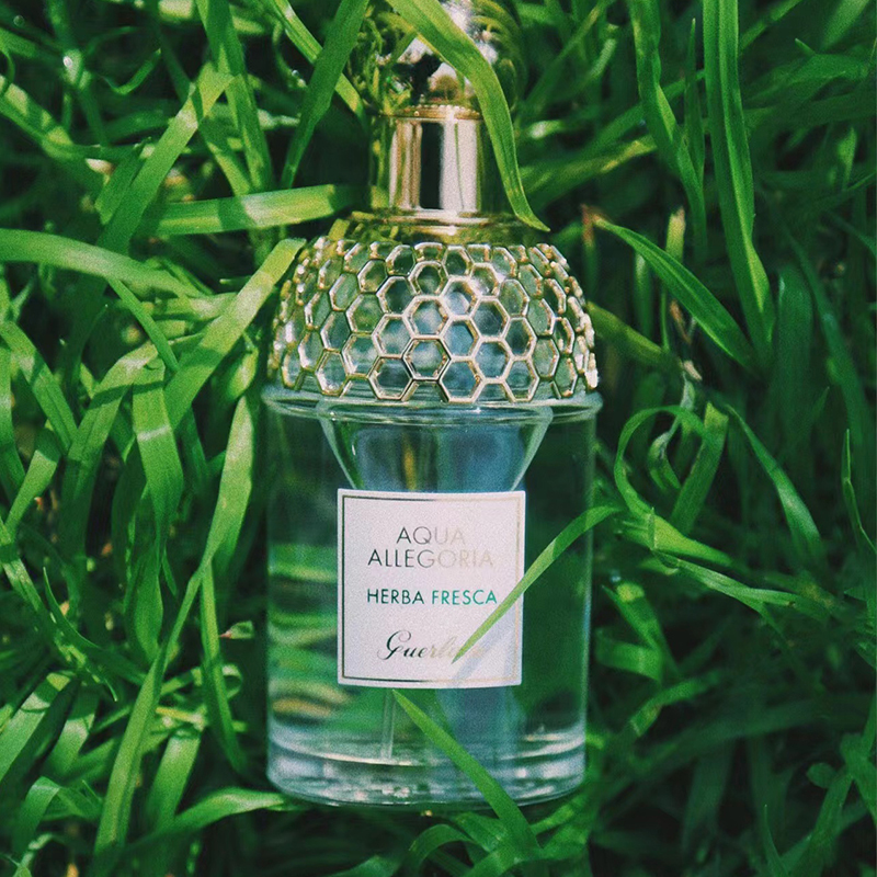 赵露思同款guerlain娇兰花草水语淡香水125ml薄荷青草