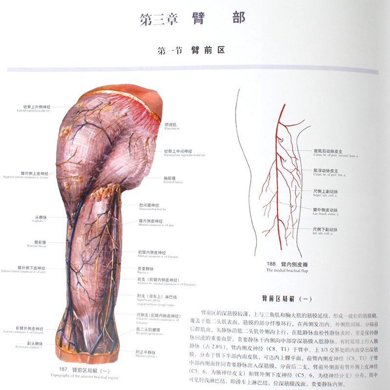 [醉染正版]正版 实用解剖图谱 上肢分册 (第三版) 基础医学 解剖学 9787547812310 上海科学技术出版社高清大图