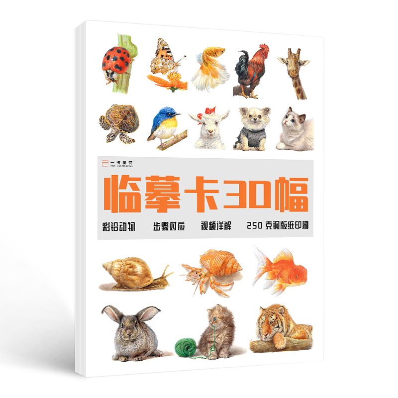 [醉染正版]彩铅临摹卡动物篇2022一线美誉步骤对应美术绘画卡片兴趣高清原创高清大图