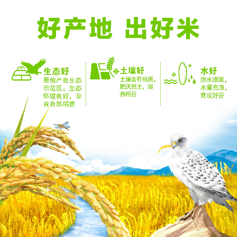 金龙鱼稻谷鲜生6步鲜生态长粒香/5kg高清大图