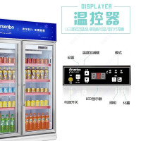雅绅宝(Arsenbo)饮料展示柜冷藏立式冰柜商用保鲜柜超市双门冷柜水果柜风冷无霜 标准款500L[风冷无霜]
