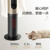 格力(GREE)暖风机 冷暖两用电风扇大面积取暖电暖器遥控落地扇节能两档调节智能定时多重安全保护FLZ-10X61RBg